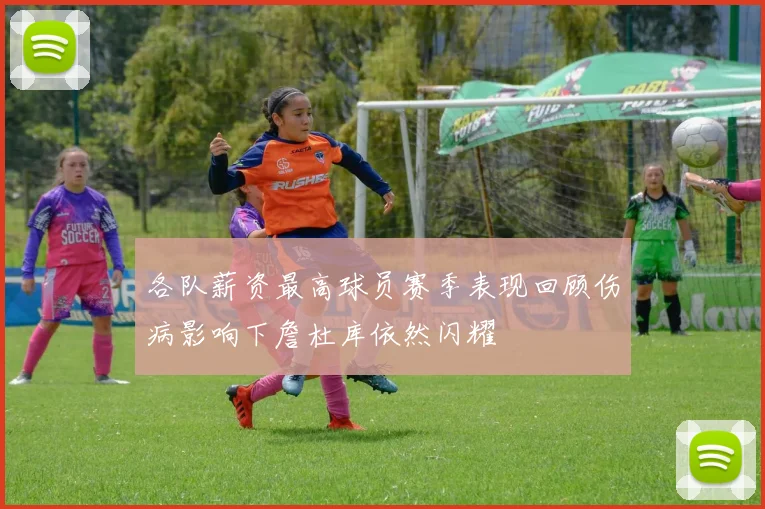 各队薪资最高球员赛季表现回顾伤病影响下詹杜库依然闪耀